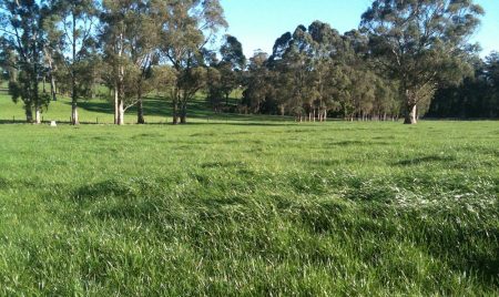 Pasturepic Pasturepic